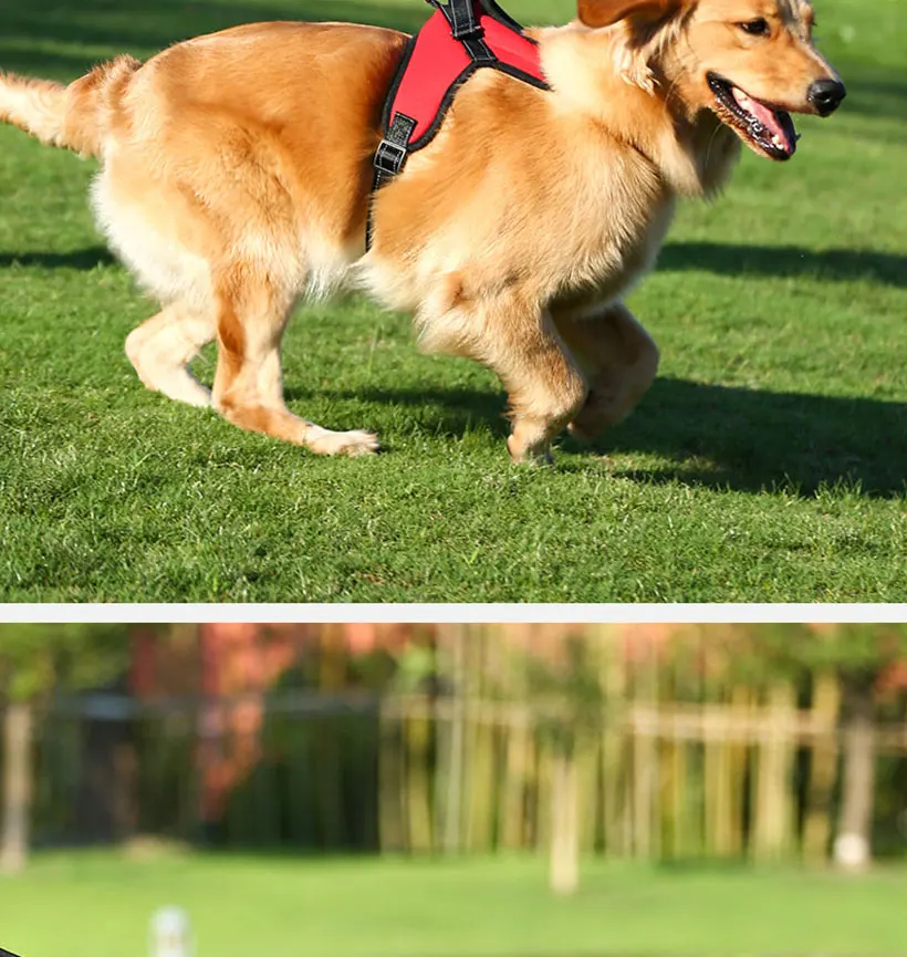 Soft and Adjustable Dog Vest Harness