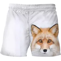 3D Fox Shorts Boy and Girls Casual Shorts Children Animal Pants Kids Beach Short Sports Pants Kids Cute
