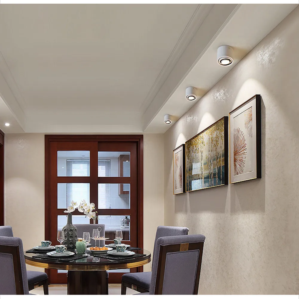 1000 X 1000 COB Downlight E