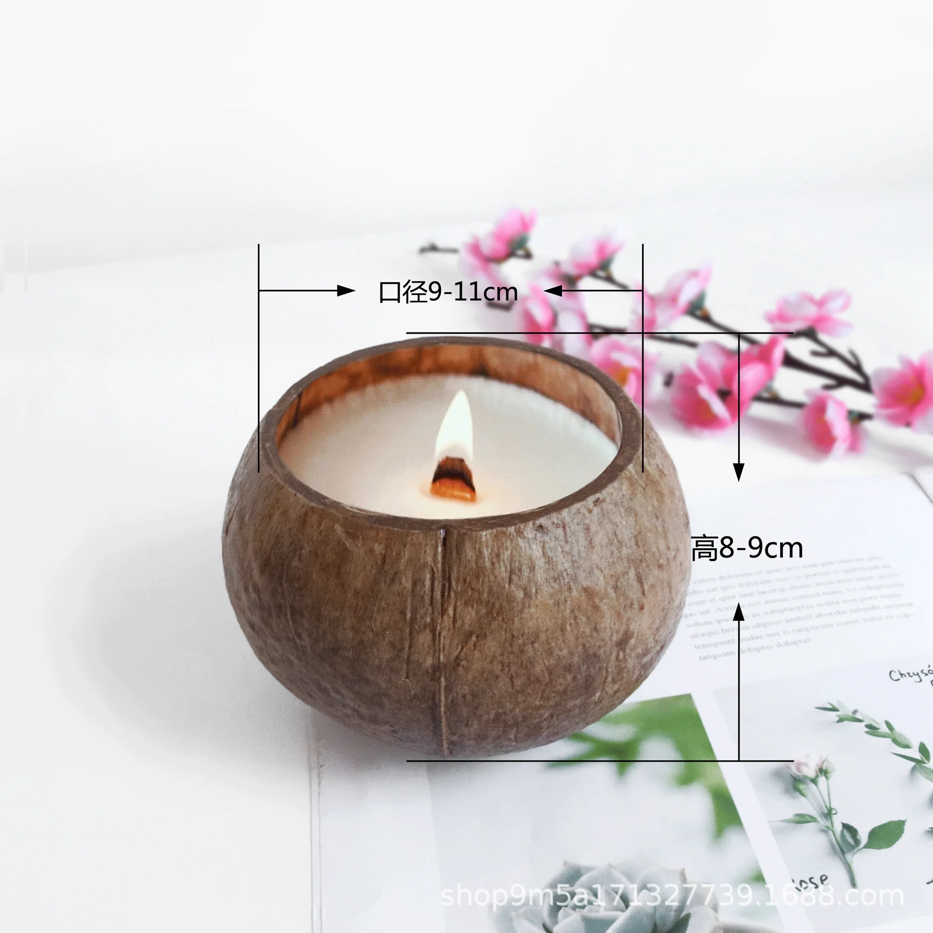 Coconut Candle Holder Candle Holders