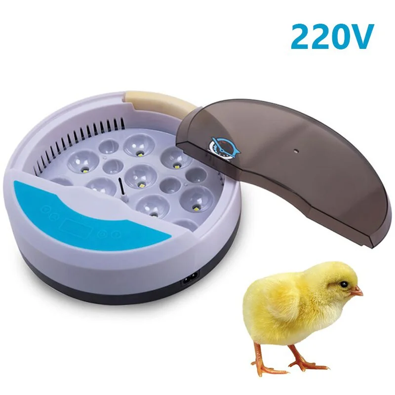 220V
