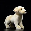 Labrador 25cm