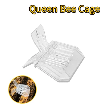 

10pcs Queen Bee Cage Beekeeping Equipment and Apicultura Tools for Beekeeper Bee keeping HDQC-010