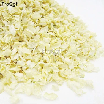

Ngryise 300Gram A Set Jasminum sambac Petal