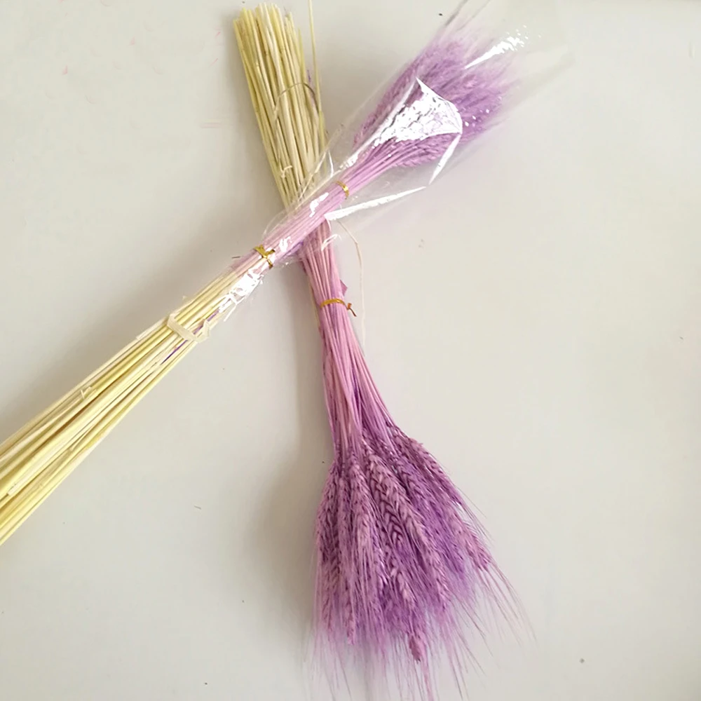 

100pcs natural dried flower bouquets natural purple color dried ear of wheat bouquets&purple color wheat ear Bunches