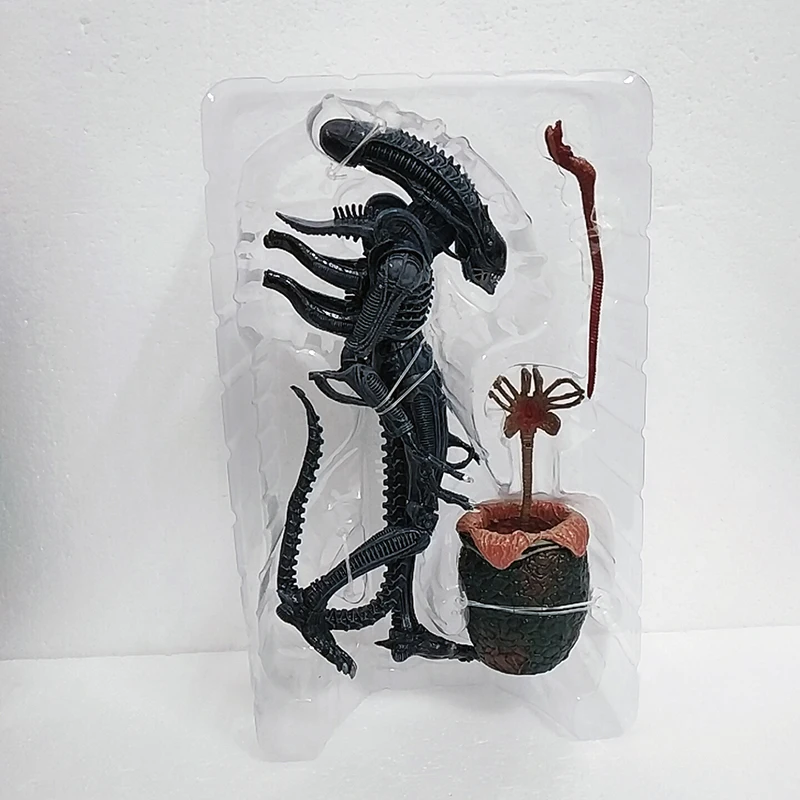 WuTa_2019-12-01_15-52-03