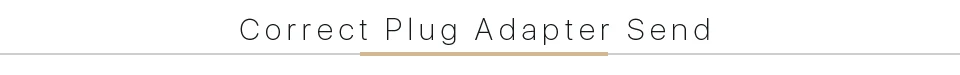 Correct-Plug-Adapter-Send