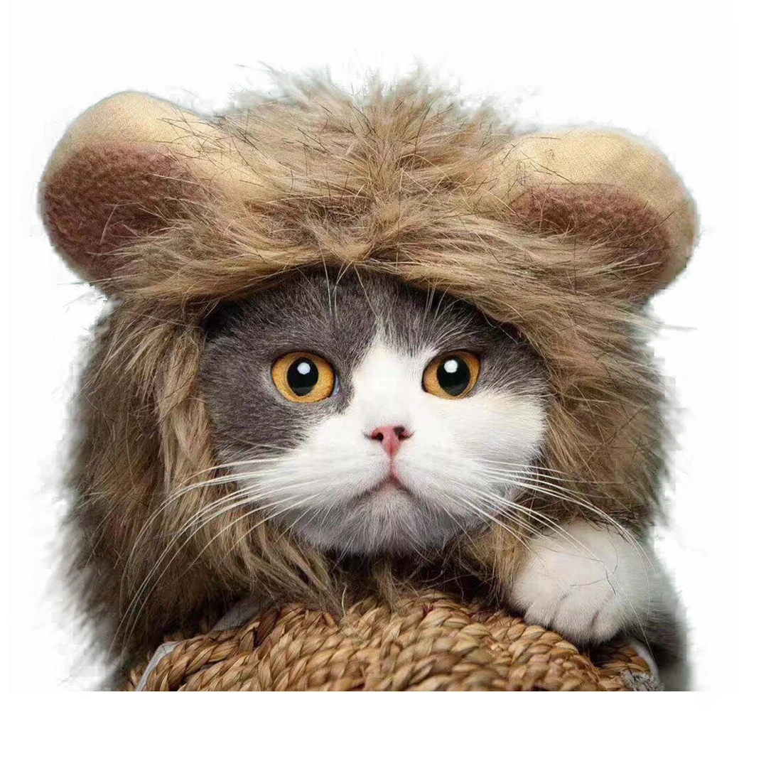 Милая кошка, кролик, Лев, шляпа лягушки, одежда для собак, Забавный Рождественский костюм на Хэллоуин для собак, Ropa Para Gato Disfraz Leon