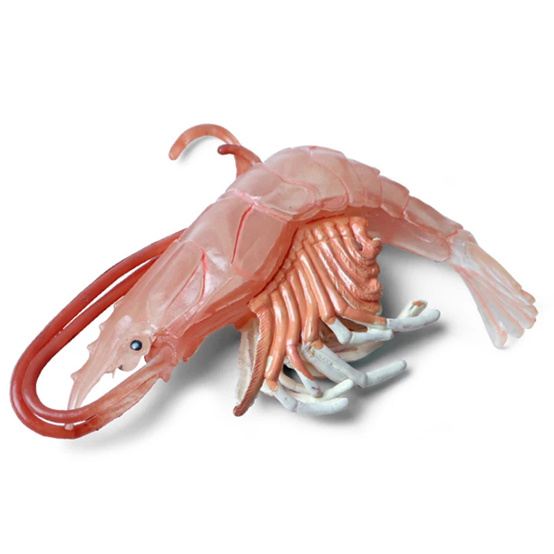 Lobster Sea Life, фигурки животных, игрушки, резиновые фигурки, имитация морского организма, креветки, подарок для детей/детей