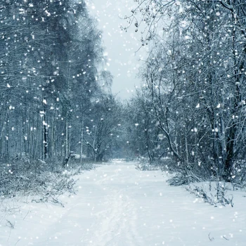 

Laeacco Winter Snow Forest Tree Snowflake Natural View Scenic Photographic Background Photo Backdrop Photocall Photo Studio