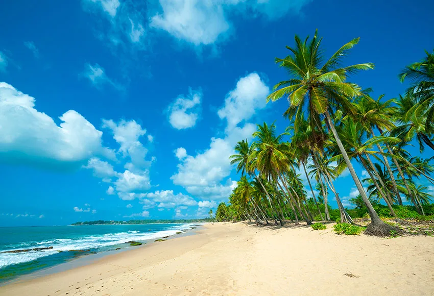 7 X5Ft 6 Style Hawaii Resort Sand Beach Blue Sky Summer Holiday Custom Photo Studio Fondali Sfondi Vinile 220Cm X 150Cm