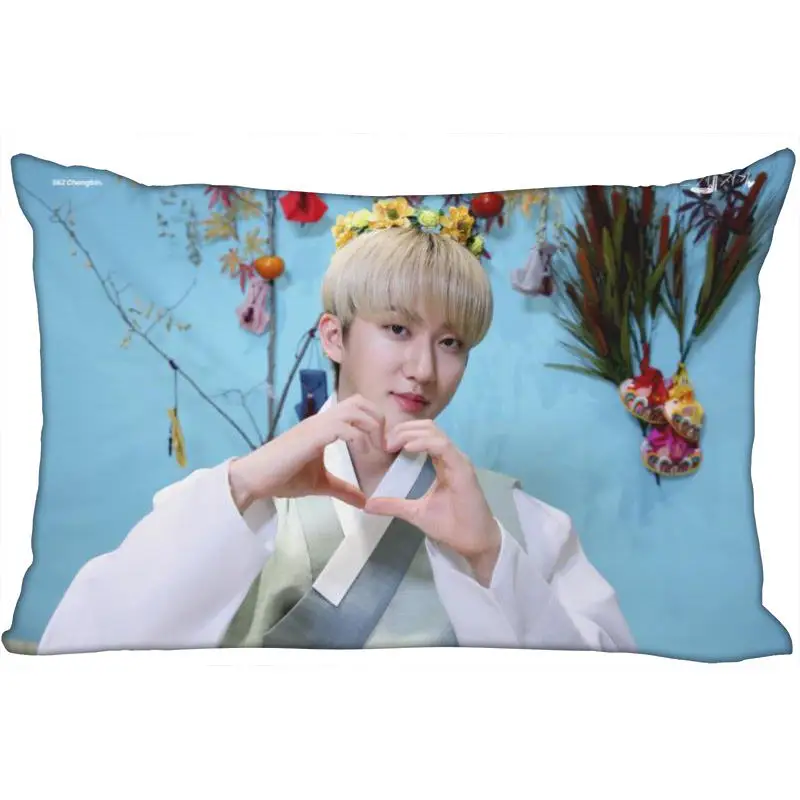 https://ae01.alicdn.com/kf/H61a481b4d8fb4c5aa08ab5932cfc2fc0H/KPOP-Seo-Changbin-Pillow-Case-Rectangle-Satin-Fabric-Pillow-Cover-For-Sofa-Home-Bedroom-Wedding-Decoration.jpg