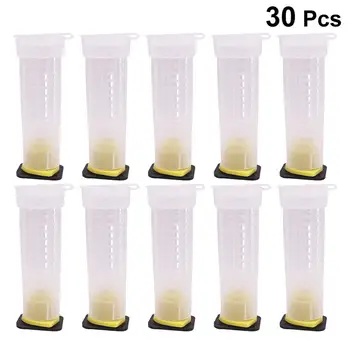 

30pc Bee Queen Cages Plastic Protective Cover Cage Cell Box Cup Rearing Queen Cell Cage New Bees King Tools Beekeeper Beekeeping