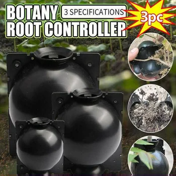 

3Pcs Plant Root Growing Box Reusable Convenient Plant Rooting Grafting Growing Box Device Breeding Case for Garden Plants