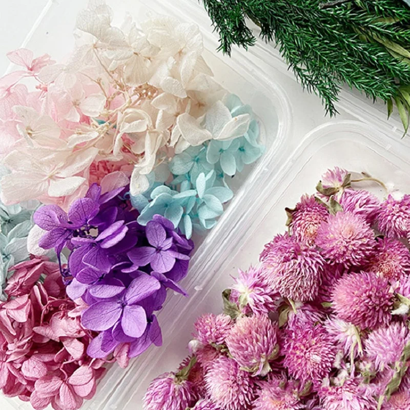 1 Box Real Natural Dried Flower Dry Plants Making Craft DIY Colorful  Aromatherapy Candle Epoxy Resin Jewelry For Home Decoration - AliExpress