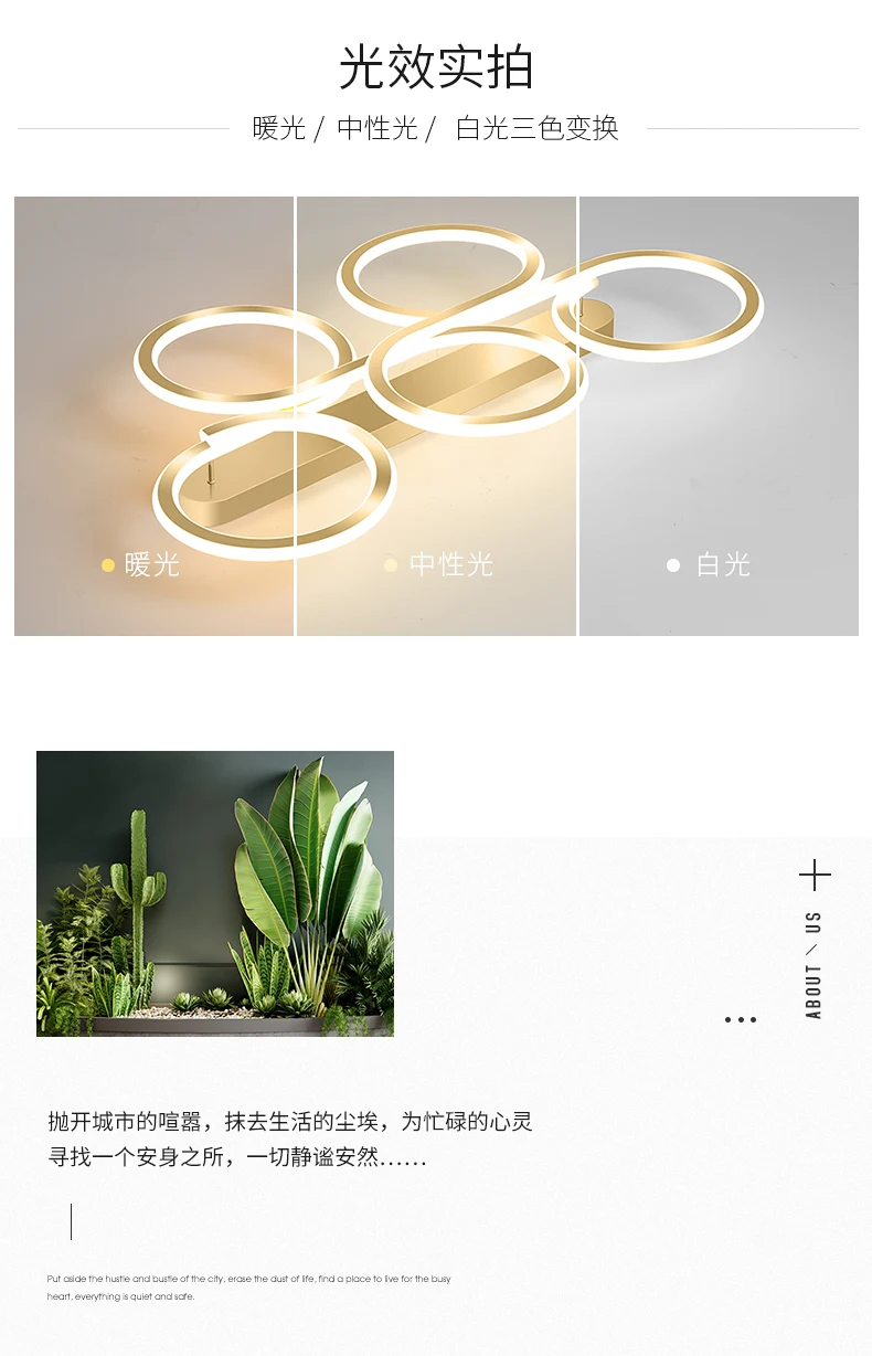 详情_02