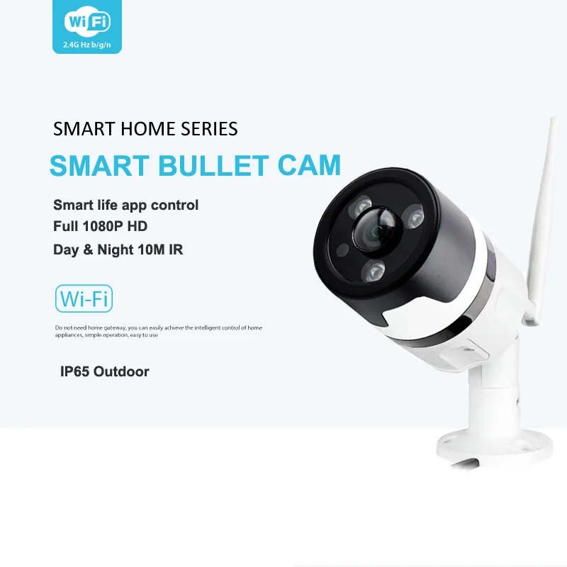 Tuya samrt Открытый IP66 водонепроницаемый wifi беспроводной CCTV HD 1080P Сеть ночного