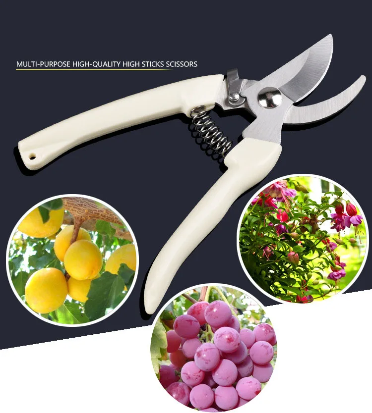 3849389470_598991726