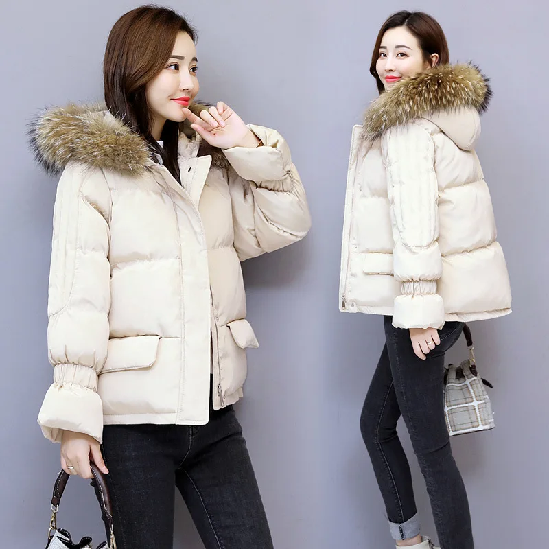 

Short INS Cotton Coat Women's 2018 New Style Korean-style Loose-Fit Small Short BF Cotton down Coat Short Cotton Overcoat Fashio