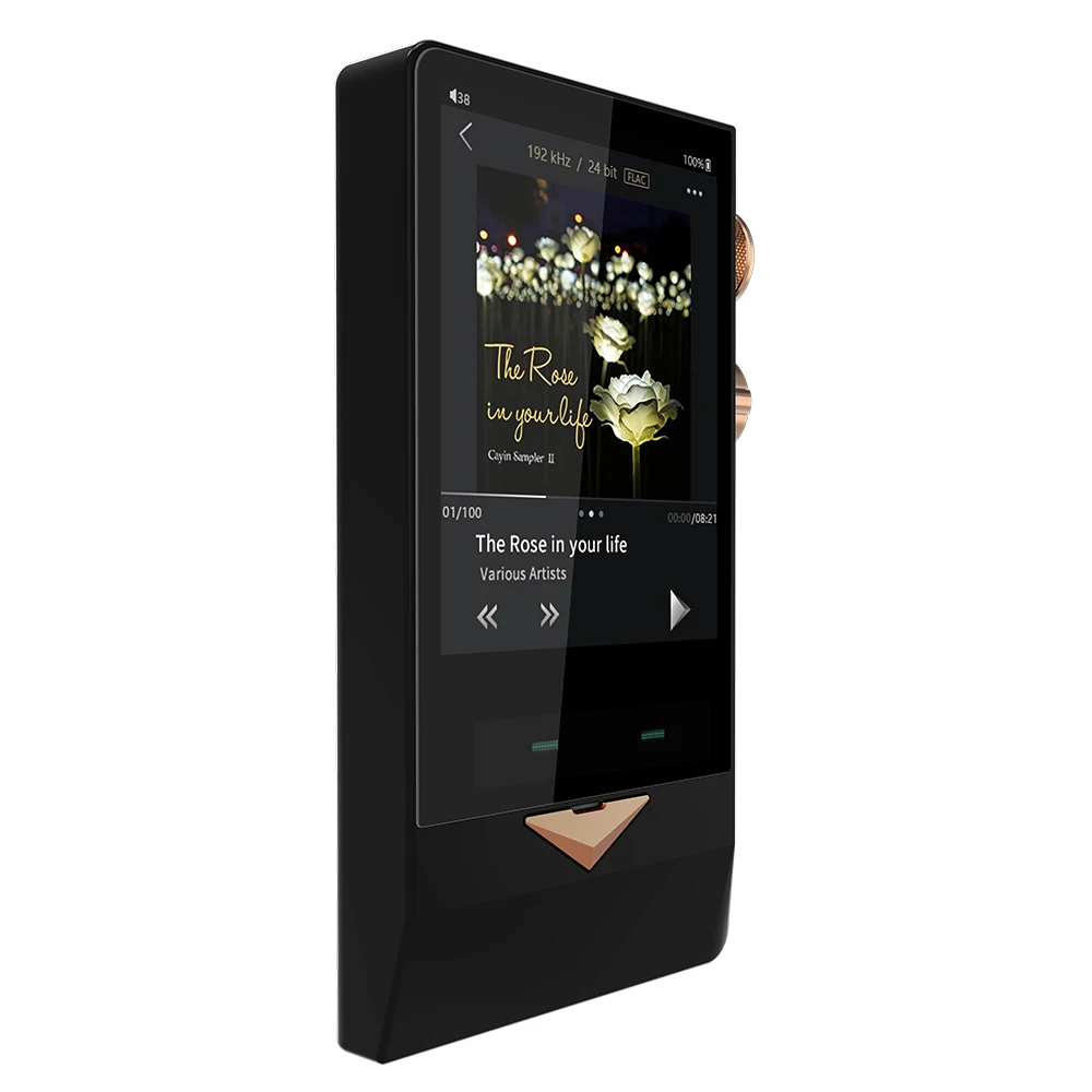 CayinN8 латунная черная вакуумная трубка портативный плеер DSD256 PCM32Bit/384kHz SACD ISO AK4497EQ USB