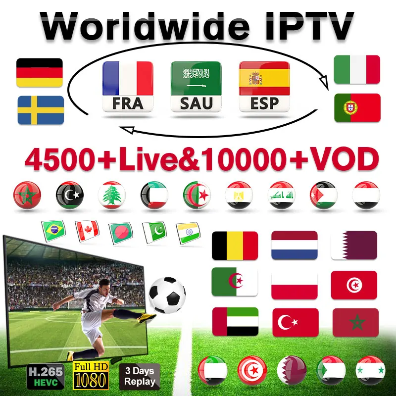 

French IPTV German Italian Spain Subscription IP TV 1 Year Code IPTV M3U Spain Italy IPTV France Arabic Germany IP TV France