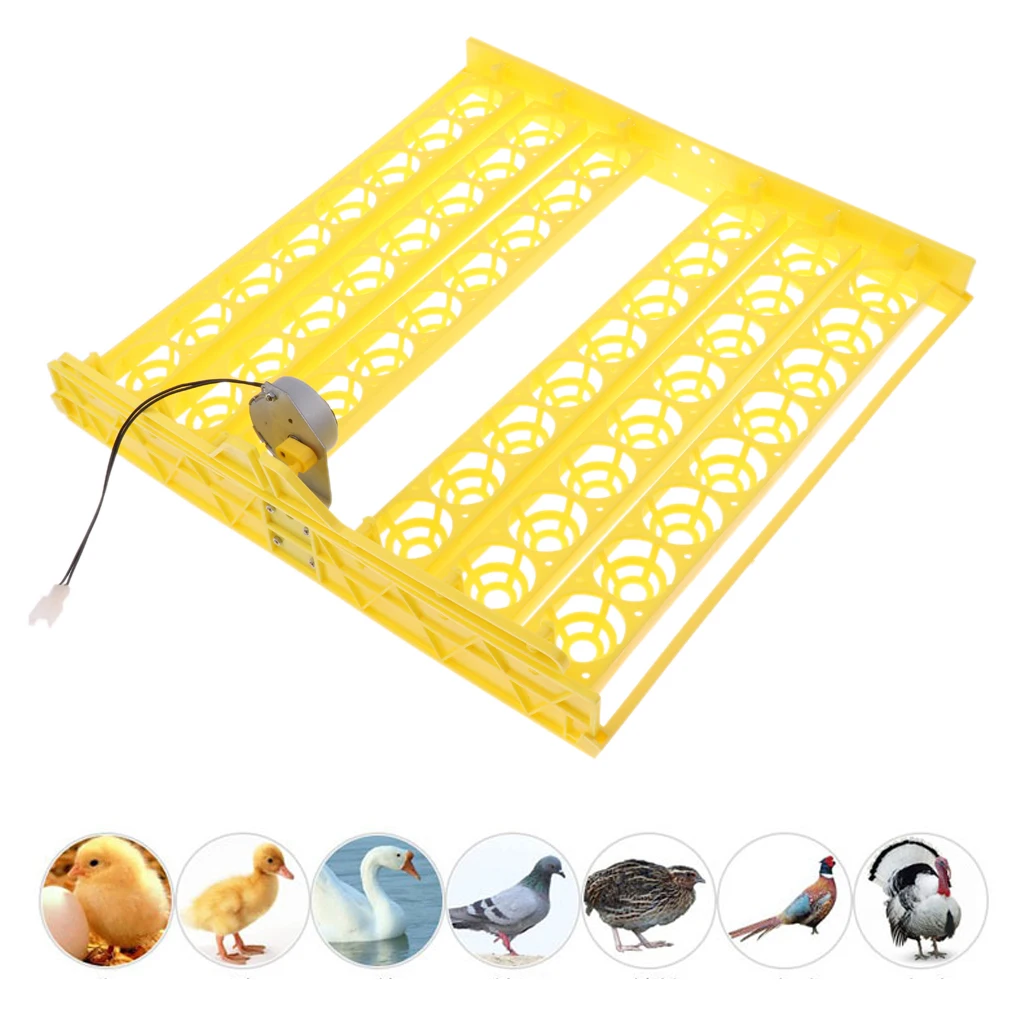Automatic 56- Egg Turner Chicken Duck Quail Bird Poultry 110V Incubator Tray