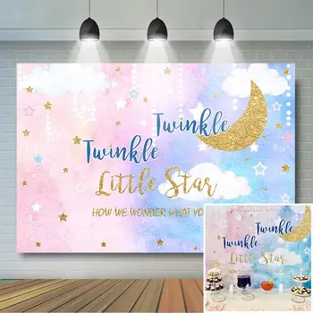 

Gender Reveal BackdropTwinkle Twinkle Little Star Baby Shower Photo Background Pink Blue Gender Reveal Party Decorations