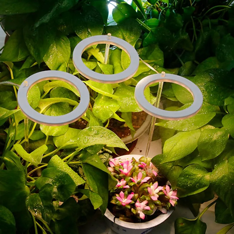 DC5V USB LED Angel Three Ring Plant Grow Light For Succulent Sunlike Full Spectrum Phyto Lamp Indoor Flower Greenhouse Seedling