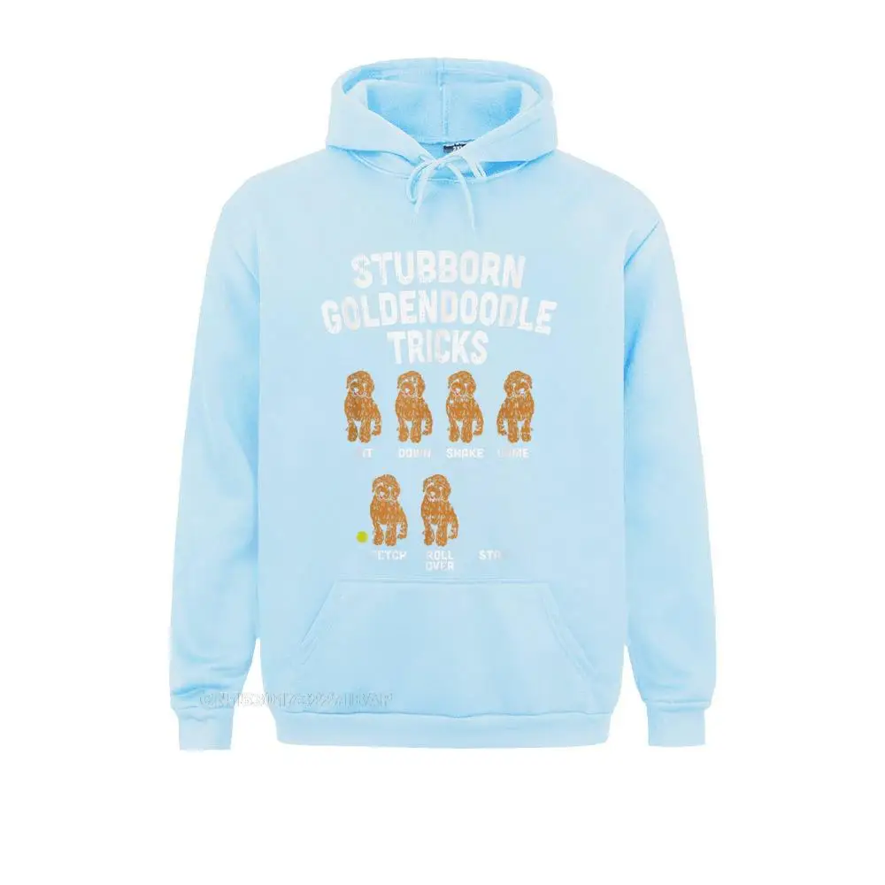 Family Student Sweatshirts Slim Fit Hoodies  Long Sleeve Summer Clothes Summer/Fall 31160 light