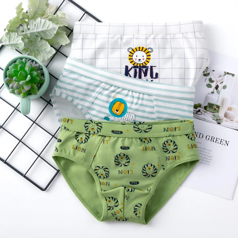3pcs/lot Boy Cute Panties 2020 Fashion Underwear Children Natural