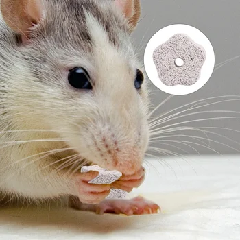 

12Pcs Pet Mineral Stone Chew Toy Teeth Grinder with Hole for Hamster Rabbit