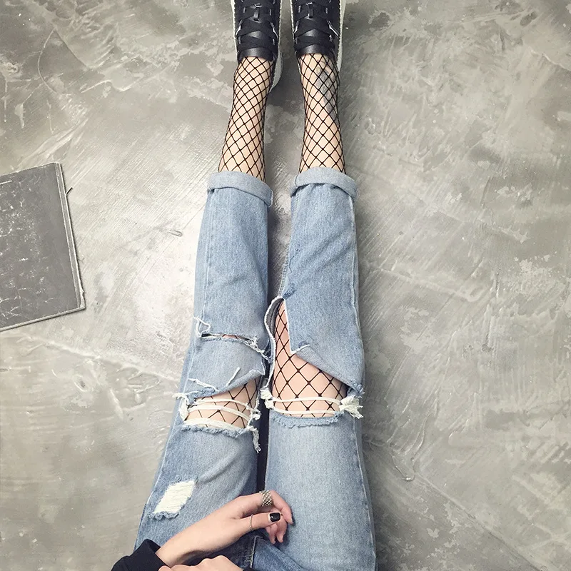 4093545351_609735182