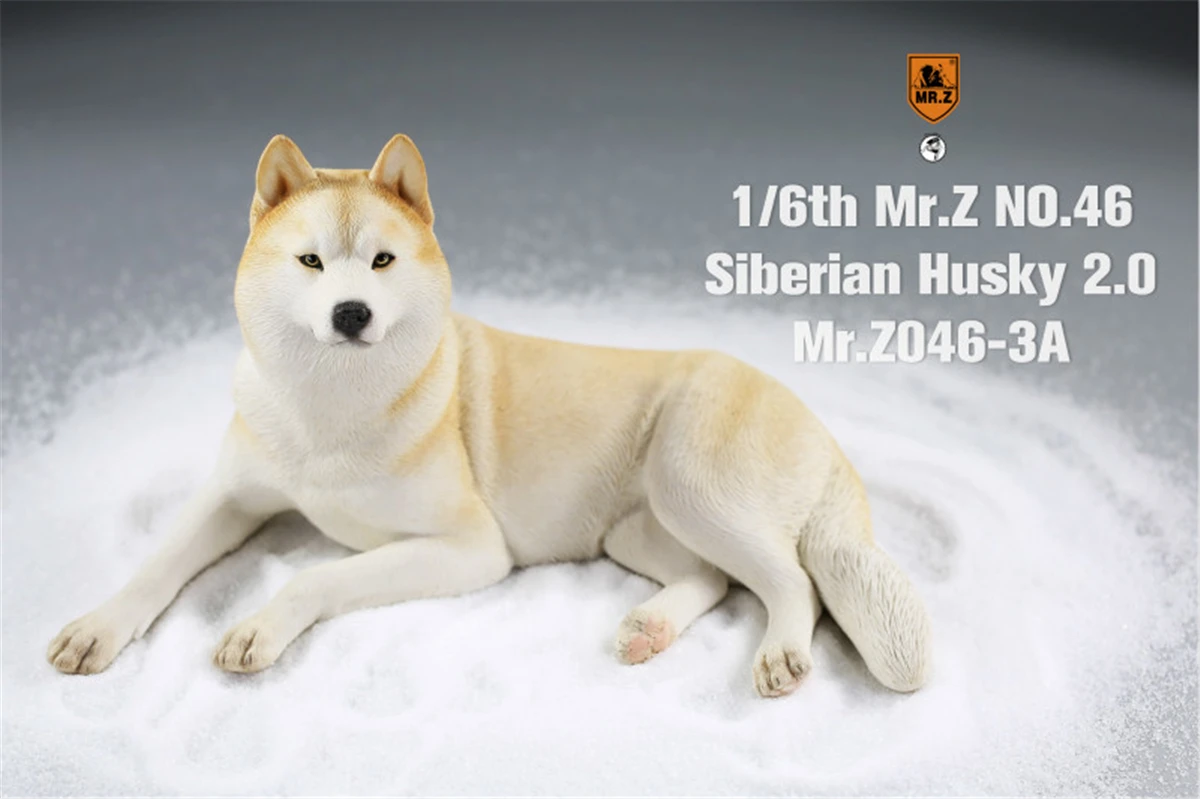 colecionável de animais de estimação siberiano husky figura de cura para modelo de animal de decoração coletor de brinquedo para presente de escala