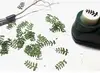 New pattern  Miniature model  Leaf Maker  Sand Table Scene Modeling Tool  DIY  Leaf paper 3
