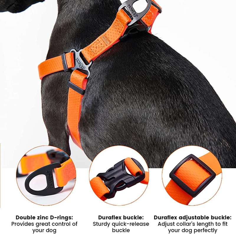 How Do You Clean A Dog Harness And Leash