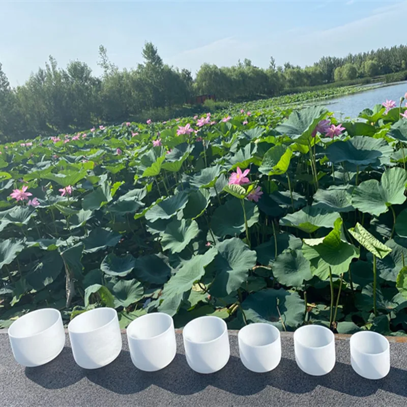 Поющая чаша из матового кварца 7-13 дюймов C/D/E/F/G/A/B для чакр набор 7 шт. с бесплатными