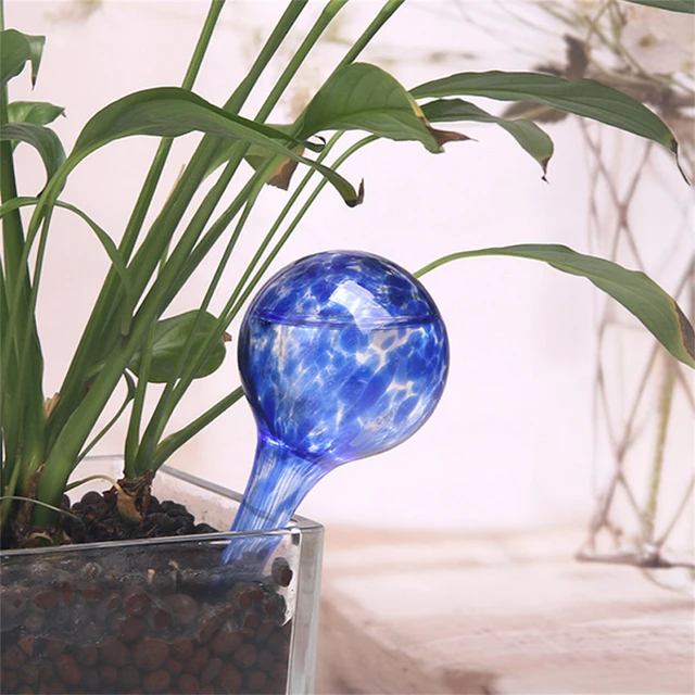 Globes d'arrosage de plantes en verre - 3 pics d'arrosage auto