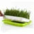 5Pcs Seed Sprouter Tray BPA Free Nursery Tray Seed Germination Tray Healthy Wheatgrass Seeds Grower Trays for Garden Home Office 