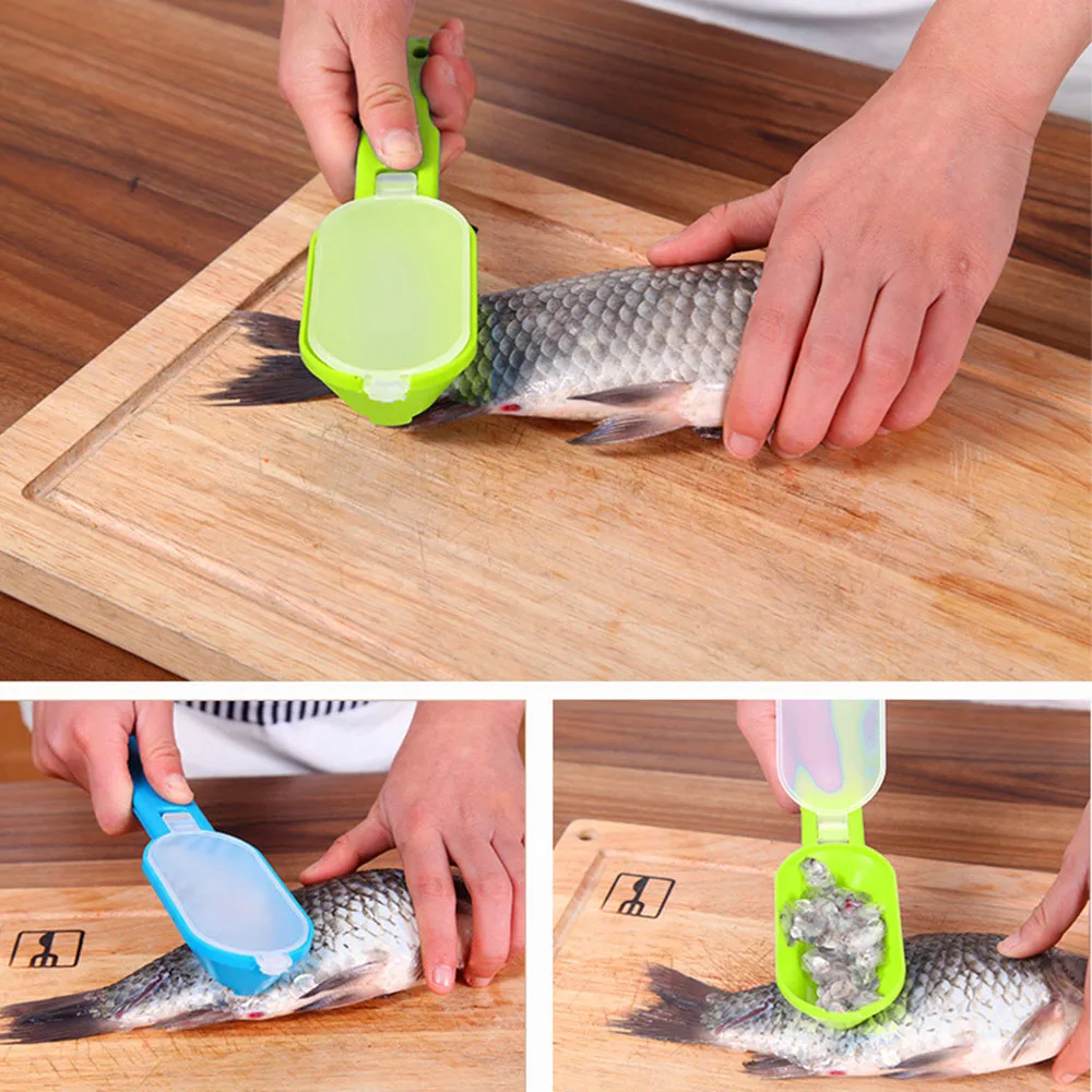 New Practical Fish Scale Remover Scraper Cleaner Kitchen Tool Peeler 1 Pcs Scraping Fish Cleaning Tool Lid Kitchen Accessories|Seafood Tools| - AliExpress
