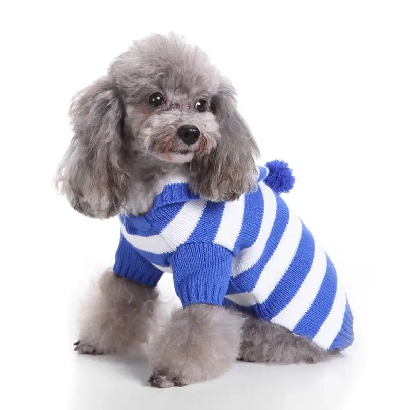 cheap puppy sweaters