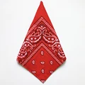 Red Bandana