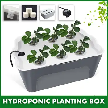 

6 Holes Water Hydroponic Soilless Culture Grow Box Vegetable Planting Water Pum