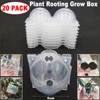 20Pcs Cutting Grafting Rooting Ball Reusable Plant Rooting Ball Sapling Propagation Breeding Box Garden Plant Root Growing Box 1