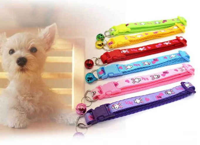 QQ截图20191019130859