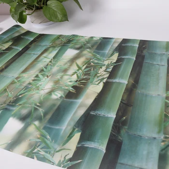 

3D Painting Static Cling Window Film Bathroom Bedroom Privacy Film Home Decor Frosted Vinyl with Factory Price 92cmx50cm