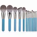 13pcs Only Brush