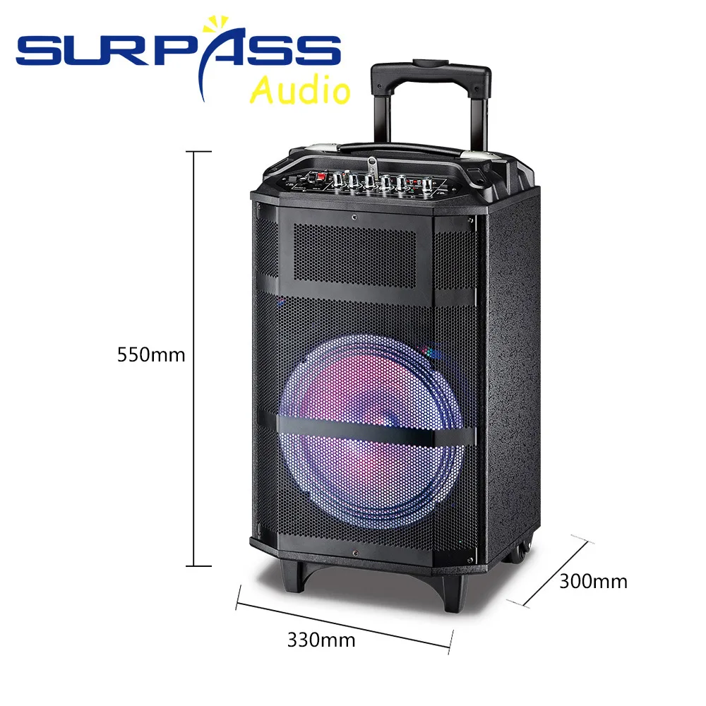 Outdoor or Home Karaoke Bass Treble Bluetooth Microphone Speaker 10'' Portable Battery Loudspeaker with FM Radio LED Light USB