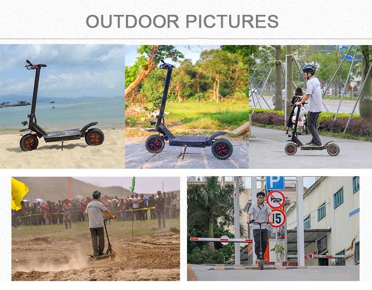 New design E4-9 E4-9 Ecorider 2 wheels folding scooter electric,off road electric scooter 2000w