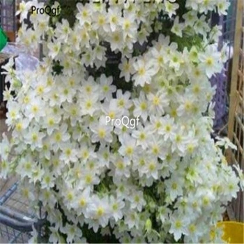 

Ngryise 13Pcs A Set