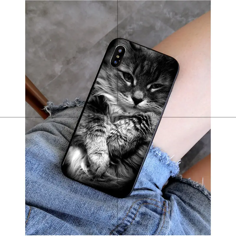 Black Cat Watch Eyes 